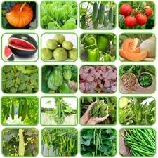 Hybrid Vegetable Seeds